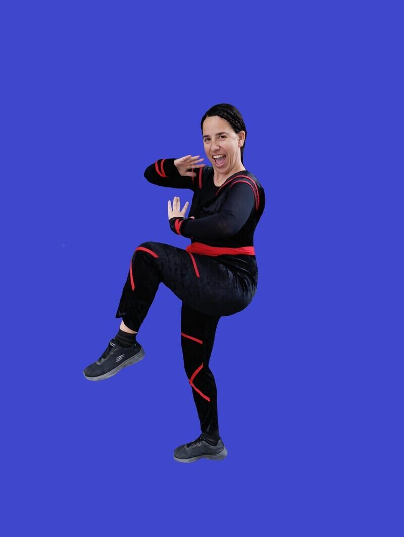 Νinja